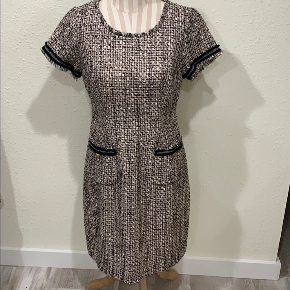 Shimmering Taupe and Black Dress - Talbots